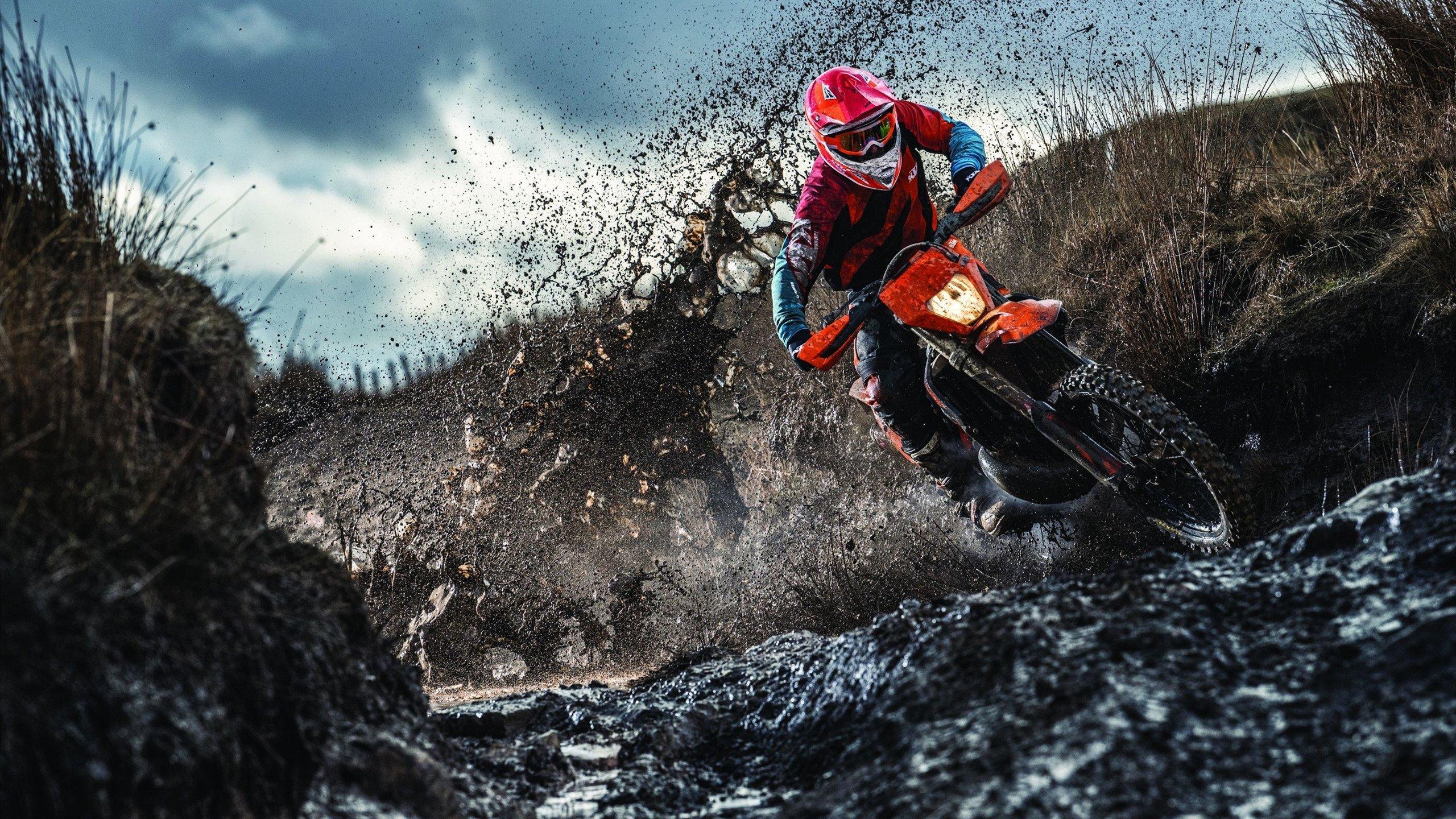 非洲雄狮捍卫出线希望！塞内加尔2-1力克厄瓜多尔，小组突围上演热血之战